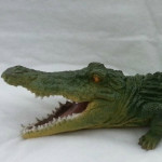 крокодил цветной1